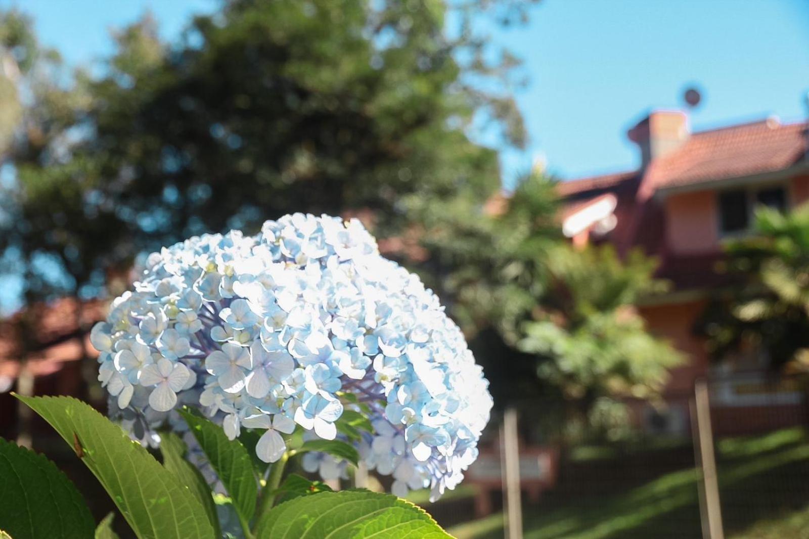 Sobrado Aconchegante E Romantico Gramado Exterior foto